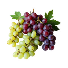Fototapeta premium Fresh Green and Red Grapes Bunch with Leaves