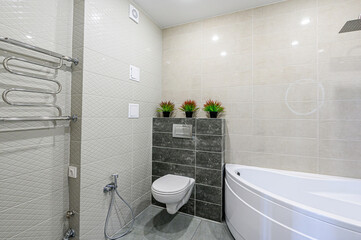 interior apartment room bathroom, sink, decorative elements, toilet. WC, sanitary unit, wash room
