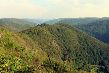 Obraz premium Hügelige Eifellandschaft beim Kurort Bad Bertrich in der Eifel im Landkreis Cochem-Zell. Aussicht vom Aussichtspunkt 