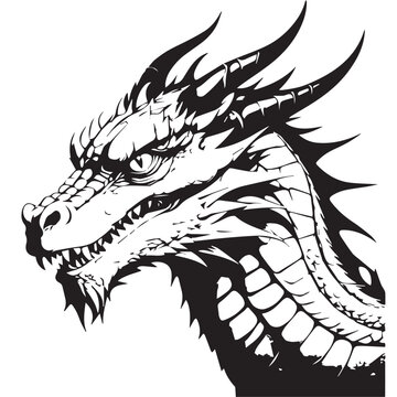 dragon vector image