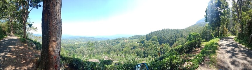 Obraz premium Landscapes view from Top of a mountain of Sri Lanka. Breathtaking Beauty Capturing the Serene Essence of Nature in Stunning Landscapes. A Journey Through Picturesque Nature Landscapes.
