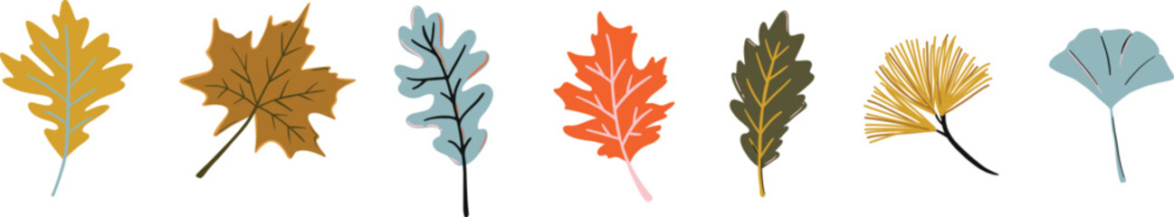 A set of modern  hand-drawn illustrations of various types of colorful fall and Autumn leaves.