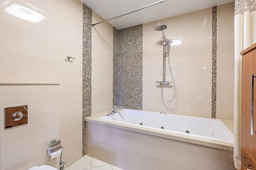 interior apartment room bathroom, sink, decorative elements, toilet. WC, sanitary unit, wash room