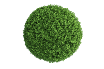 Top view of a round hedge isolated or on white background 3d render png. Architecture plan