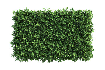 Top view of a hedge row isolated or on white background 3d render png. Architecture plan