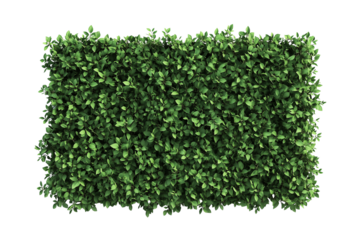Top view of a hedge row isolated or on white background 3d render png. Architecture plan