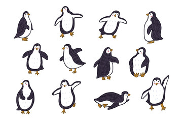 Cute penguins vector illustration in cartoon style.