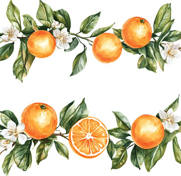 vector watercolor oranges with flowers border set on white, perfect for invitation card design, orange botanical Wedding Invitation, floral invite thank you, modern card Design in oranges and flowers