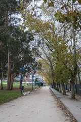 Paisagem serena vista do Cais da Fonte Nova, em Aveiro, com seus canais tranquilos, barcos coloridos e arquitetura t&iacute;pica, refletindo a beleza &uacute;nica e o charme pitoresco da cidade portuguesa