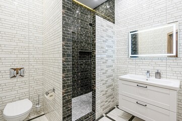 interior apartment room bathroom, sink, decorative elements, toilet. WC, sanitary unit, wash room