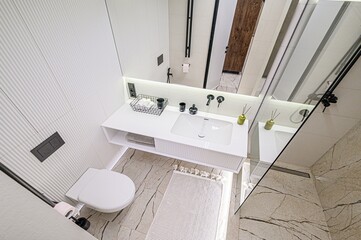 interior apartment room bathroom, sink, decorative elements, toilet. WC, sanitary unit, wash room