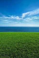 Fototapeta premium A large grassy field under the blue sky, overlooking an ocean in the distance. 