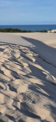 Sand dune. Slowinski National Park (Słowiński Park Narodowy) Poland.
