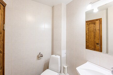 interior apartment room bathroom, sink, decorative elements, toilet. WC, sanitary unit, wash room