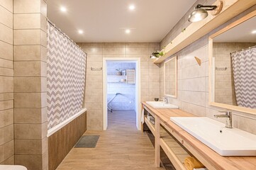 interior apartment room bathroom, sink, decorative elements, toilet. WC, sanitary unit, wash room