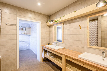 interior apartment room bathroom, sink, decorative elements, toilet. WC, sanitary unit, wash room