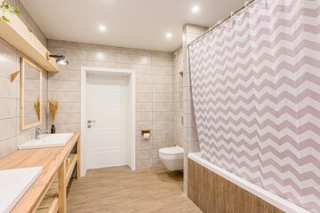 interior apartment room bathroom, sink, decorative elements, toilet. WC, sanitary unit, wash room