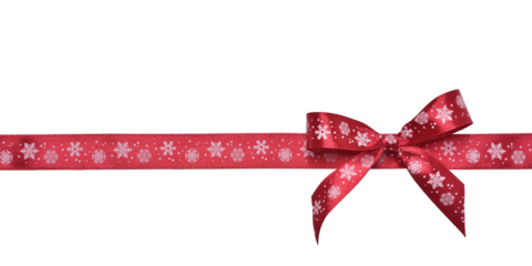 Beautiful red gift bow isolated on white background