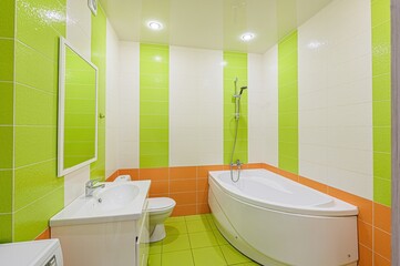 interior apartment room bathroom, sink, decorative elements, toilet. WC, sanitary unit, wash room