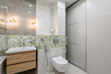 interior apartment room bathroom, sink, decorative elements, toilet. WC, sanitary unit, wash room