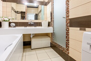 interior apartment room bathroom, sink, decorative elements, toilet. WC, sanitary unit, wash room