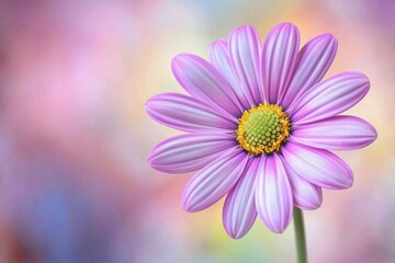 Obraz premium Single Flower in Focus with Blurred Background: Close-up of a vibrant flower with a soft-focus background, creating an elegant and natural image.