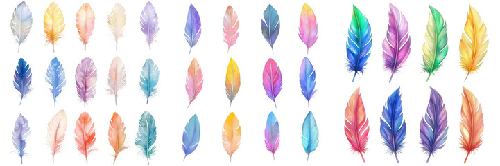 A collection of vibrant, colorful feathers in various shapes and sizes, showcasing intricate details and textures.