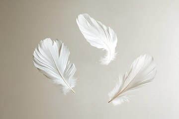 Naklejka premium Floating Feathers: A serene image of delicate white feathers gently drifting on air, capturing a sense of peace and tranquility. Perfect for meditation, relaxation, and nature lovers.