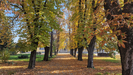Autumn in the park