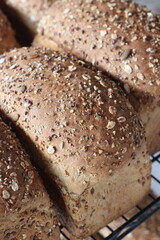 Sourdough Multigraine Whole Bread Loaves