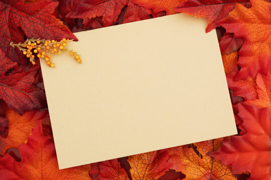 Blank beige greeting card with fall leaves on wood for your autumn message