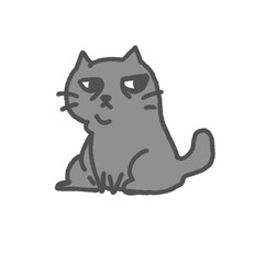 Bored cat