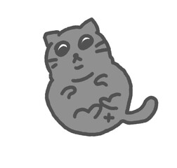Cat lay down