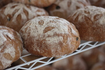 freshly baked bread