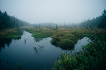 Imagery with small lakes, forest and beautiful blue sky with big puffy clouds in Summertime.