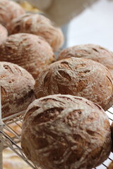 A collection of rustic, golden-brown artisan bread loaves displayed on a cooling rack.