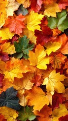 Fototapeta premium A vibrant display of autumn leaves in shades of yellow, orange, red, and green, with rich textures and intricate veining, capturing the warmth and beauty of the fall season in a layered composition.