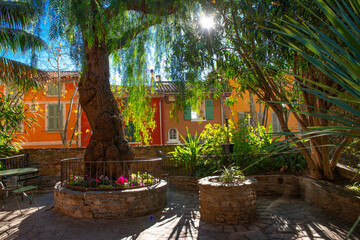 Obraz premium Hyères, parc et arbres en centre ville, Var