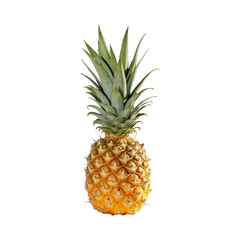 Fresh Pineapple Fruit Isolated on Transparent Background