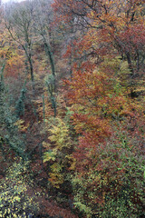 View down into a valley on a wet Autumn day, Derbyshire England
