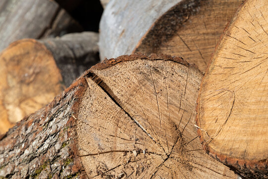 Pile of split wood stacked crosswise, pile of firewood