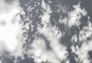 white old wall with shadows in sunny day