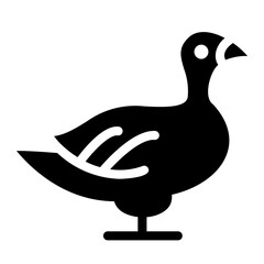 duck