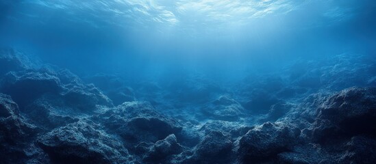 Fototapeta premium Underwater Ocean Landscape