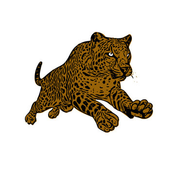 recommend clip art: Jaguar panther wild cat vector ilustration 