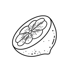 A minimalist black-and-white line drawing of a lemon, perfect for logos, design outlines, or as a base for coloring and creative projects.