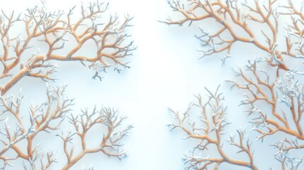 Obraz premium Bare Branches on a White Background