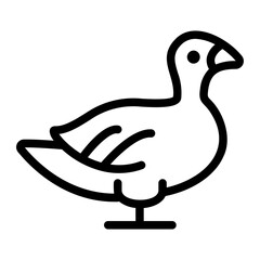 duck