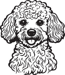 smilling toy poodle dog