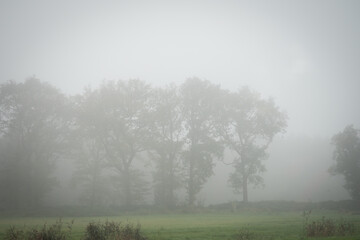 North sea mist on the highway from Amsterdam to Paris 3